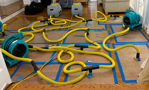 Professional Flood Damage Restoration technician working in Colbert, WA